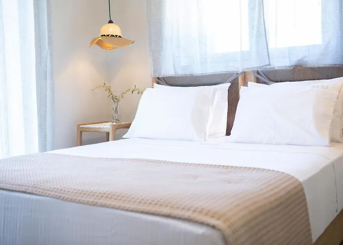 Vilă Olea-brand New Luxury Sivota